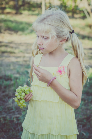 little nice caucasian girl with long blond hair in yellow dress eathing healthy ripe green grapesの写真素材