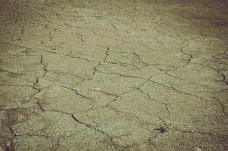 view to the gray dry cracked earthの写真素材