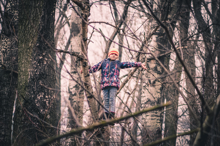 girl on tree in scary forestの写真素材