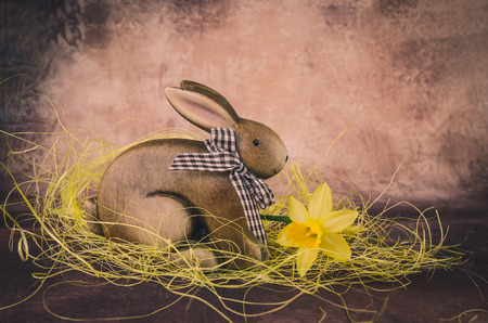 Brown Easter bunny and daffodil decoration against dark brown backgroundの写真素材