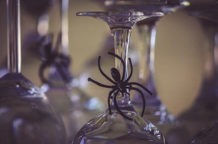 halloween decoration of black toy spider in grassの写真素材