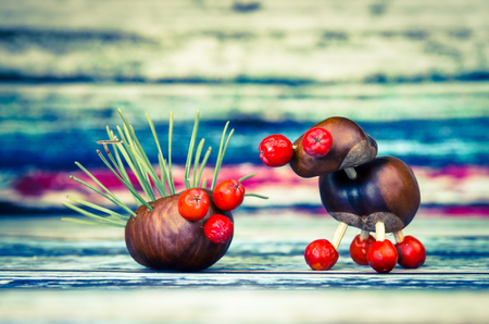fantasy autumn figures made from chestnutsの写真素材