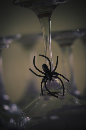 halloween decoration of black toy spider in grassの写真素材