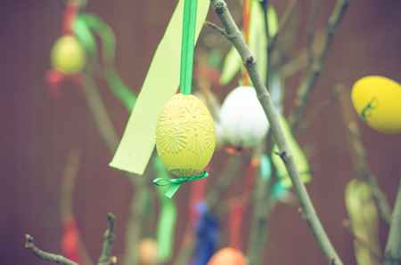 easter eggs decoration pastel matte toneの写真素材