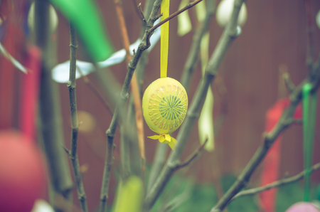 easter eggs decoration pastel matte toneの写真素材