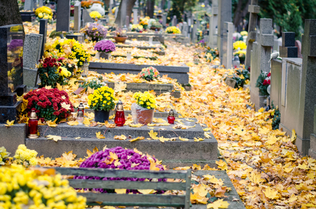 decorated graves in cemetery during All Saints Day in autumn timeの写真素材