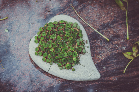green flowers in heart stone decoration in grave at cemeteryの写真素材