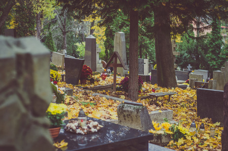 decorated graves in cemetery during All Saints Day in autumn time