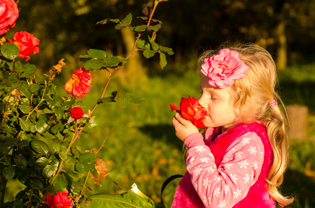adorable blond little girl with red rose flowerの写真素材