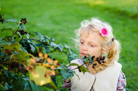 adorable little blond girl in autumn natureの写真素材