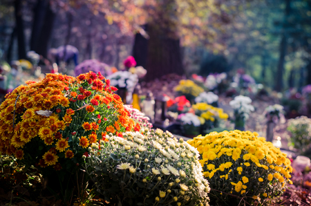 Graves with All Saint Day decoration and leaves in autumn atmosphereの写真素材