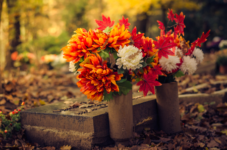 Colorful flower decoration during All Saints Day at the cemeteryの写真素材