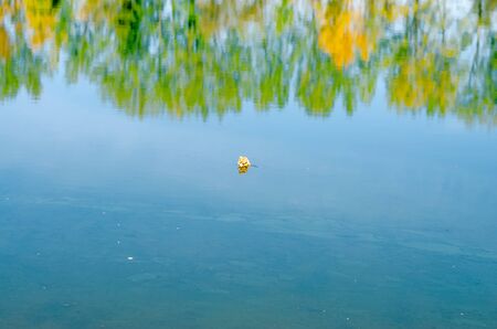 reflection of colorful tree in tranquil surface of the pond in autumnal golden hour atmosphere