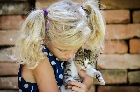 beautiful blond girl in blue dotted dress holding in arms little domestic cat の写真素材