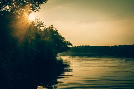 silhouettes of trees and their reflection in water surface of the pond in summer sunsetの写真素材
