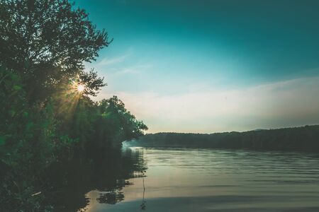 silhouettes of trees and their reflection in water surface of the pond in summer sunsetの写真素材