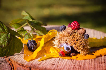 cute figure from chestnut, leaves and flowers in vibrant autumnal colorsの写真素材