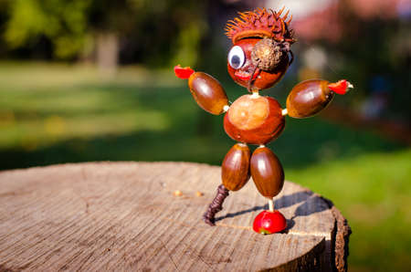 cute figure from chestnut, leaves and flowers in vibrant autumnal colorsの写真素材