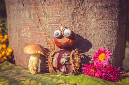 cute figure from chestnut, leaves and flowers in vibrant autumnal colorsの写真素材