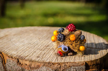 cute figure from chestnut, leaves and flowers in vibrant autumnal colorsの写真素材