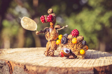cute figure from chestnut, leaves and flowers in vibrant autumnal colorsの写真素材