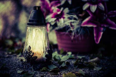 illuminated glittering bokeh with butterfly shape copy space backgroundの写真素材
