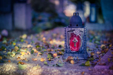 illuminated glittering bokeh with butterfly shape copy space background