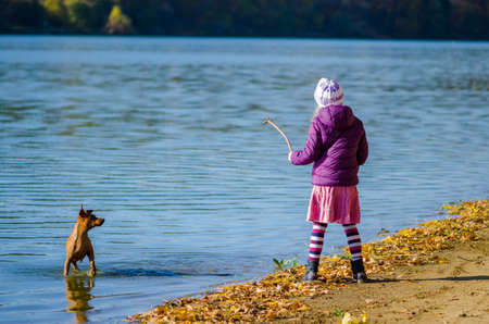 little child holding domestic cat and walking alone in sunny autumnal atmosphereの写真素材