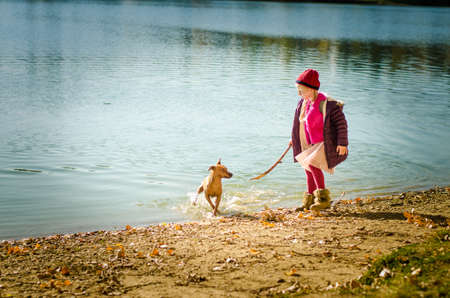 little child holding domestic cat and walking alone in sunny autumnal atmosphereの写真素材