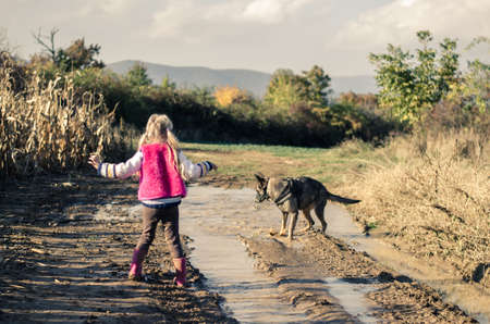 little child holding domestic cat and walking alone in sunny autumnal atmosphereの写真素材
