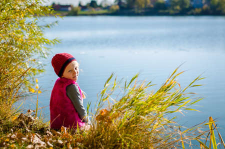 little child holding domestic cat and walking alone in sunny autumnal atmosphereの写真素材