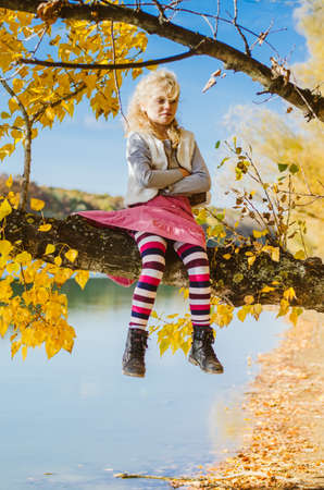 little child holding domestic cat and walking alone in sunny autumnal atmosphereの写真素材
