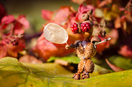 cute figures of pirate and hedgehog from autumnal fruits in vibrant autumnal colorsの写真素材