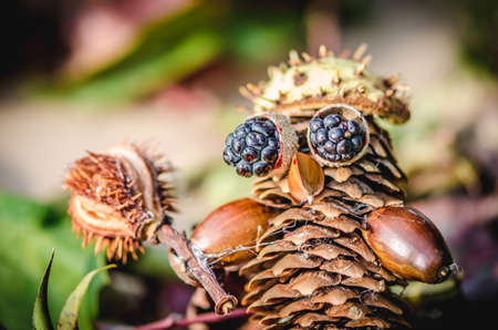 cute figures of pirate and hedgehog from autumnal fruits in vibrant autumnal colorsの写真素材