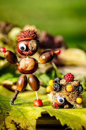 cute figures of pirate and hedgehog from autumnal fruits in vibrant autumnal colorsの写真素材