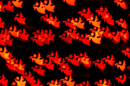 red winter neutral dove on black backgroundの写真素材