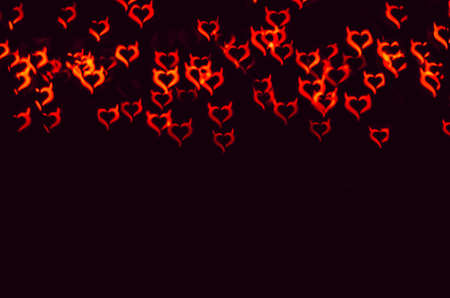 red winter neutral dove on black backgroundの写真素材