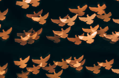red winter neutral dove on black backgroundの写真素材