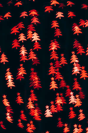 red winter neutral dove on black backgroundの写真素材