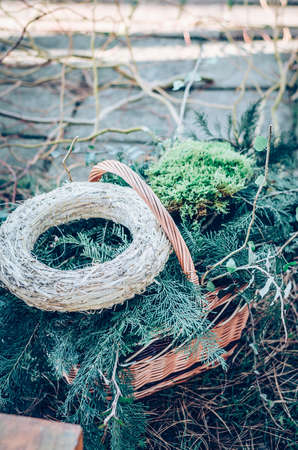 bird feeder made from plants and twigs with animal bird foodの写真素材