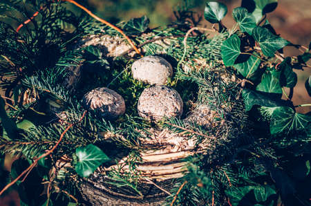 bird feeder made from plants and twigs with animal bird food