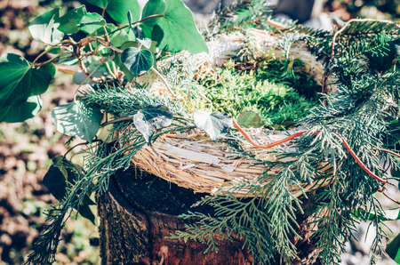 bird feeder made from plants and twigs with animal bird foodの写真素材