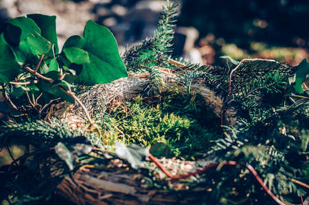 bird feeder made from plants and twigs with animal bird foodの写真素材