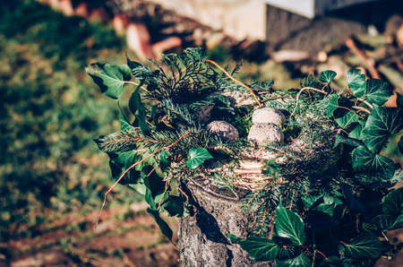 bird feeder made from plants and twigs with animal bird foodの写真素材