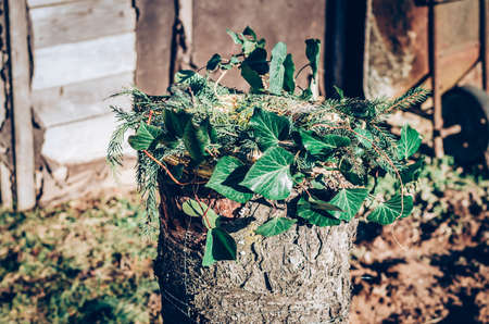 bird feeder made from plants and twigs with animal bird foodの写真素材