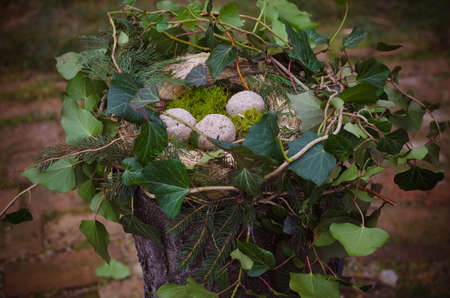 bird feeder made from plants and twigs with animal bird foodの写真素材