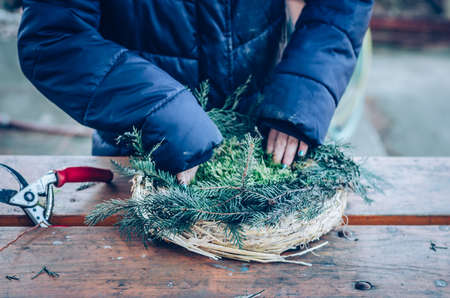 bird feeder made from plants and twigs with animal bird foodの写真素材