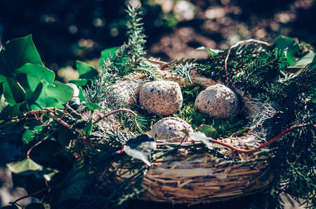 bird feeder made from plants and twigs with animal bird foodの写真素材
