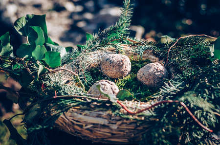 bird feeder made from plants and twigs with animal bird foodの写真素材