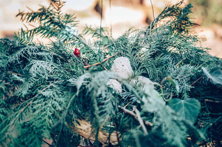 bird feeder made from plants and twigs with animal bird foodの写真素材